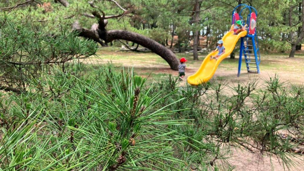 意外？「虹の松原」は子どもの自然あそびデビューに最適！安心して